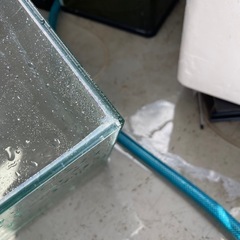 30センチキューブ水槽の画像