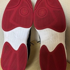 NIKEジョーダンマックス オーラ6  28cmの画像