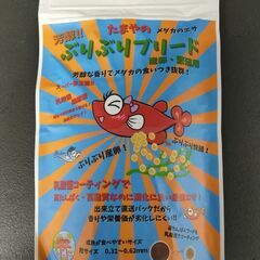 ★近松めだか（たまやの「パーフェクトビタミン」）の画像