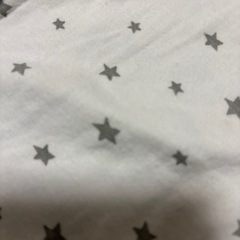 T シャツの画像