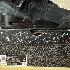 NIKEスパイジークロウ 28cmの画像