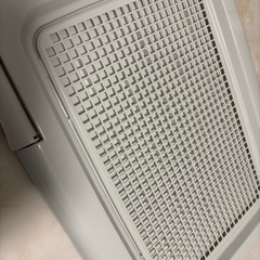 犬用　トイレトレー　レギュラー　ホワイトデーの画像