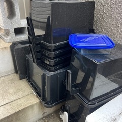 メダカ引退品 決まりましたの画像