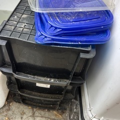 メダカ引退品 決まりましたの画像