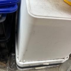 メダカ引退品 決まりましたの画像
