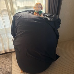 ビーズだけいかが？いかが？ヨギボーMAXの画像
