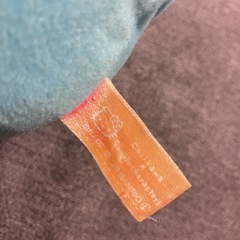 ハチワレ×キティーの画像