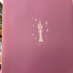 ディズニー ラプンツェル ファイルの画像