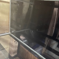 900水槽　水槽台セット　熱帯魚の画像
