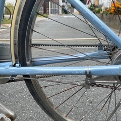 自転車　アルベルト　水色
の画像