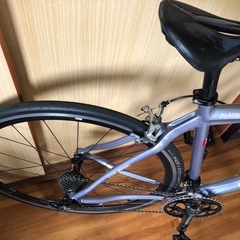 ルイガノ　LOUIS GARNEAU CTR
の画像