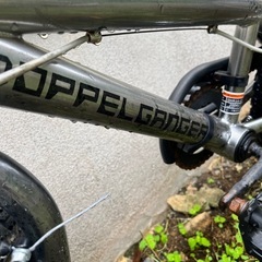 ドッペルゲンガー子供用自転車
の画像