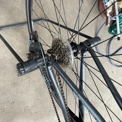bianchiビアンキ c-sports サイズ43の画像