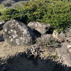 箱庭にも最適！【和風庭園用】　庭石の画像