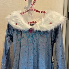 アナ雪　ドレスの画像