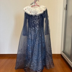アナ雪　ドレスの画像