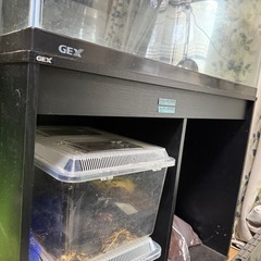 900×450水槽、台など一式の画像