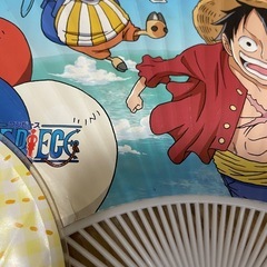 団扇まとめ売りの画像