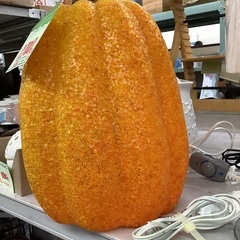 パンプキンライト 管D251011DK (ベストバイ 静岡県袋井市)の画像