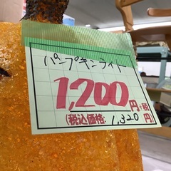 パンプキンライト 管D251011DK (ベストバイ 静岡県袋井市)の画像
