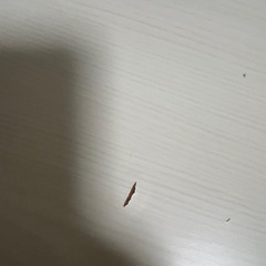 こたつ(専用のこたつ布団付き)の画像