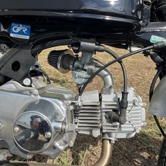ゴリラ　88cc 美車　室内鑑賞車両の画像