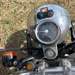 ゴリラ　88cc 美車　室内鑑賞車両の画像