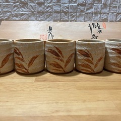 新品未使用　志野焼　美濃焼　真山窯　陶器 湯飲み 5個セット 葉模様　昭和レトロの画像
