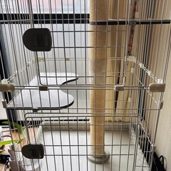 組み立てのみ　未使用 猫用ケージ の画像