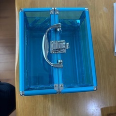 アナ雪ケースの画像