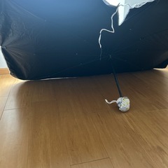 傘型専用サンシェード新品、普通車
の画像