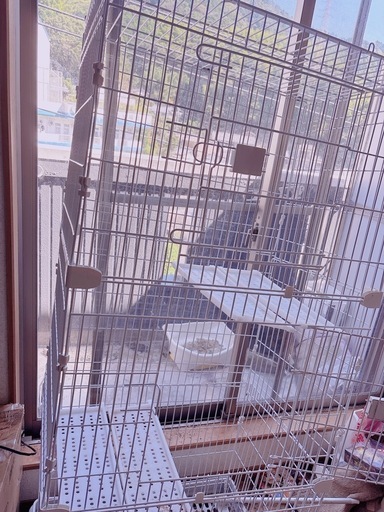 猫ケージ ペットサークル