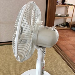 扇風機(猫ちゃん様予定済の画像
