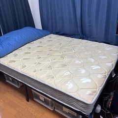 【無料】ダブルベットあげます(お渡し者決定しました)の画像