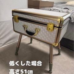 Francfrancトランクドレッサーの画像