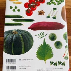 藤田先生の名著！　野菜作り超入門の画像