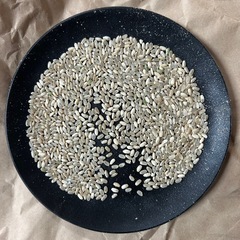 R７年度産　新米　３０キロ　中米　玄米　雪若丸　残り20袋ほど　　の画像