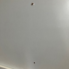 棚板
の画像