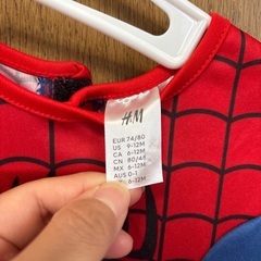 ハロウィンなどに　スパイダーマンの画像