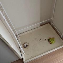 洗濯機ラックの画像