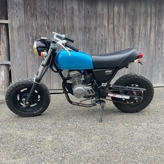 エイプ50 インジェクションの画像