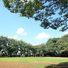 残り僅か、お急ぎ下さい！フリマ出店者募集！11/3(月)文化の日　柏市南部公園 - 柏市