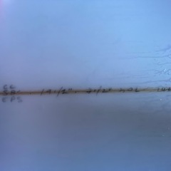 LSDサーフボードの画像