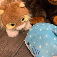 ぬいぐるみの画像