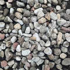 玉砂利（40kg程？）の画像