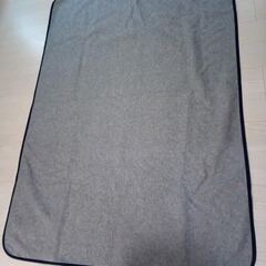 ニトリ製ホットカーペット１畳タイプとウレタン入りふんわりラグのセットの画像