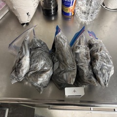 シガヤータコ【釣り餌】の画像