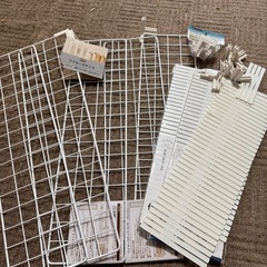 あみの画像