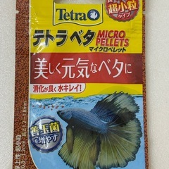 ショーベタ　飼育セット(カルキ抜き無)の画像
