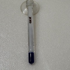 ショーベタ　飼育セット(カルキ抜き無)の画像